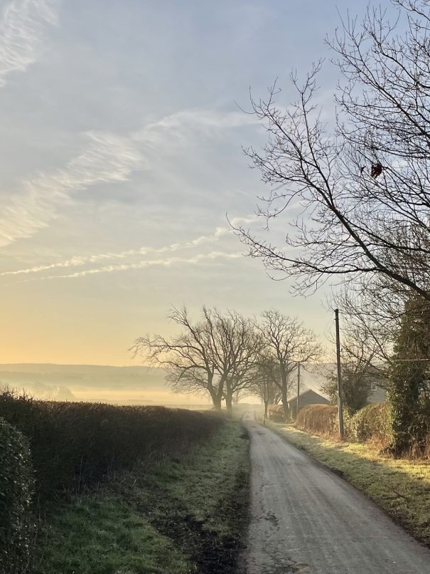 Photo of country lane