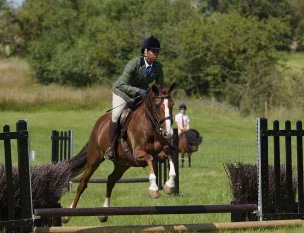 Horse jumping at the Weeton Show