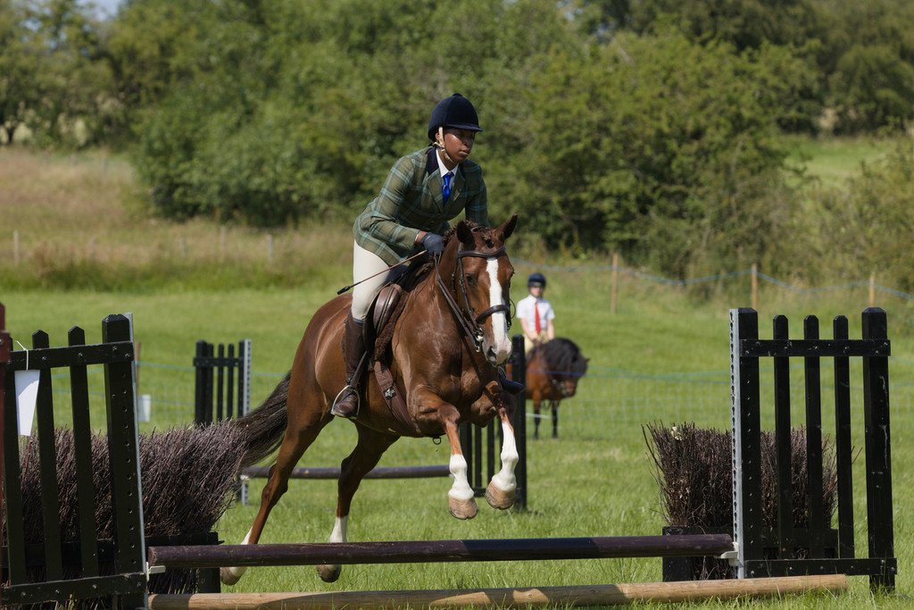 Horse jumping at the Weeton Show
